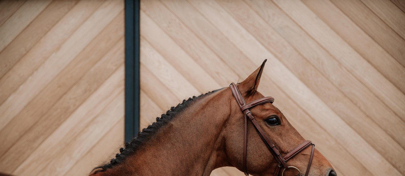 Exclusive Sales Extra Horses