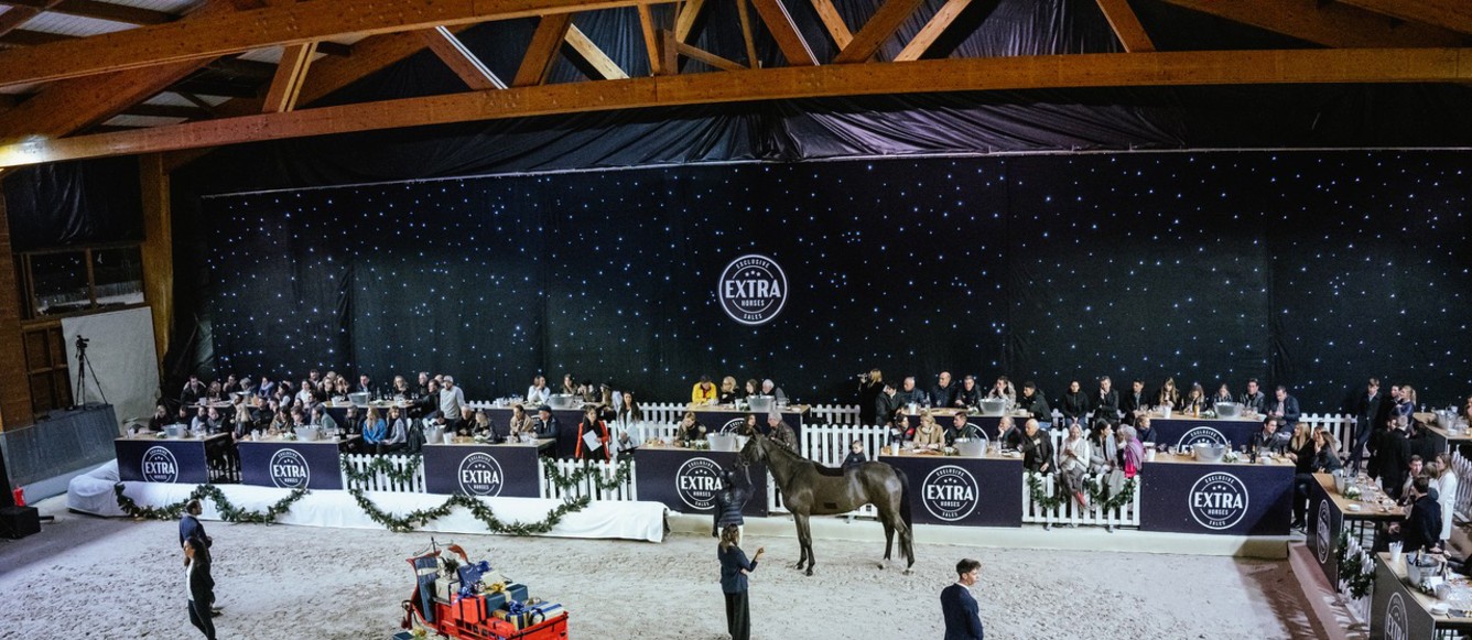 Extra Horses, Tayol, McAuley, Tuilière © LDD