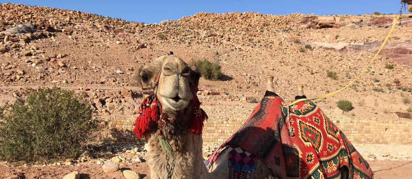 Jordanie