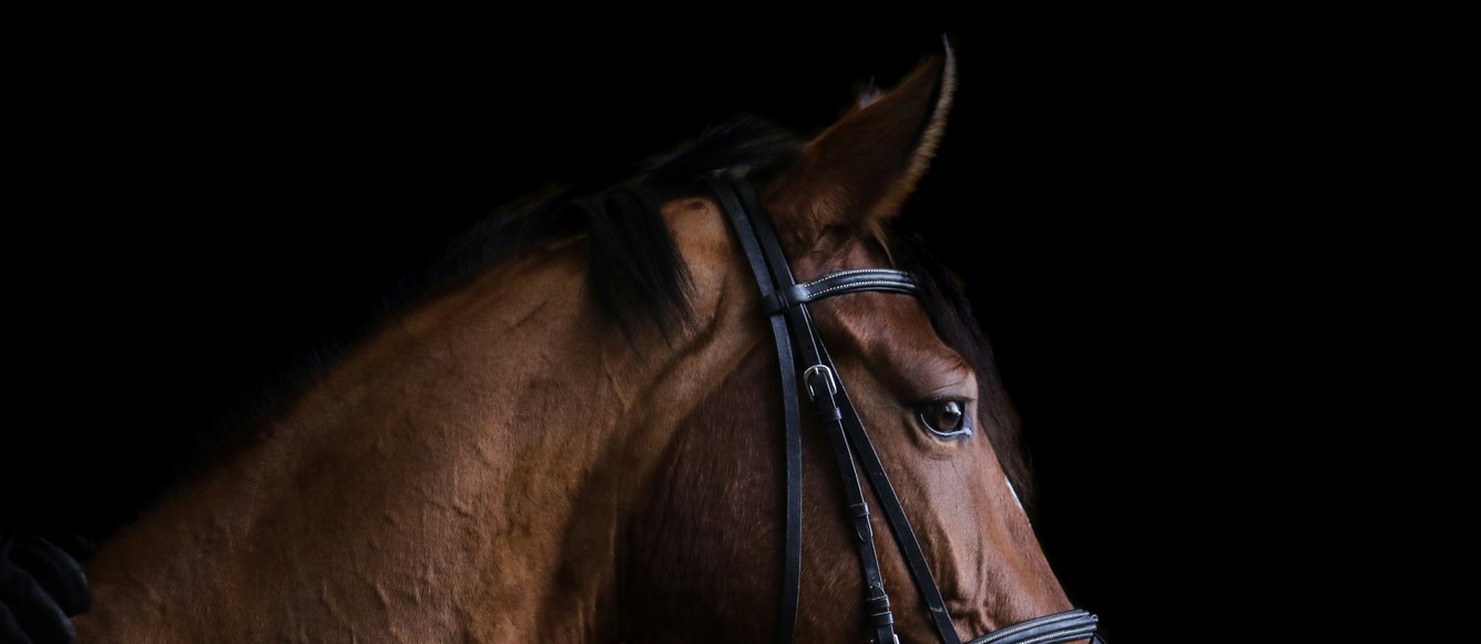 unsplash/Marylou Fortier