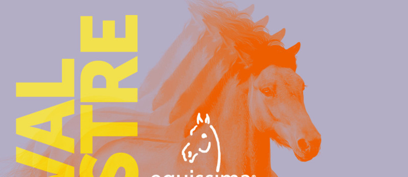 Equissima 2024