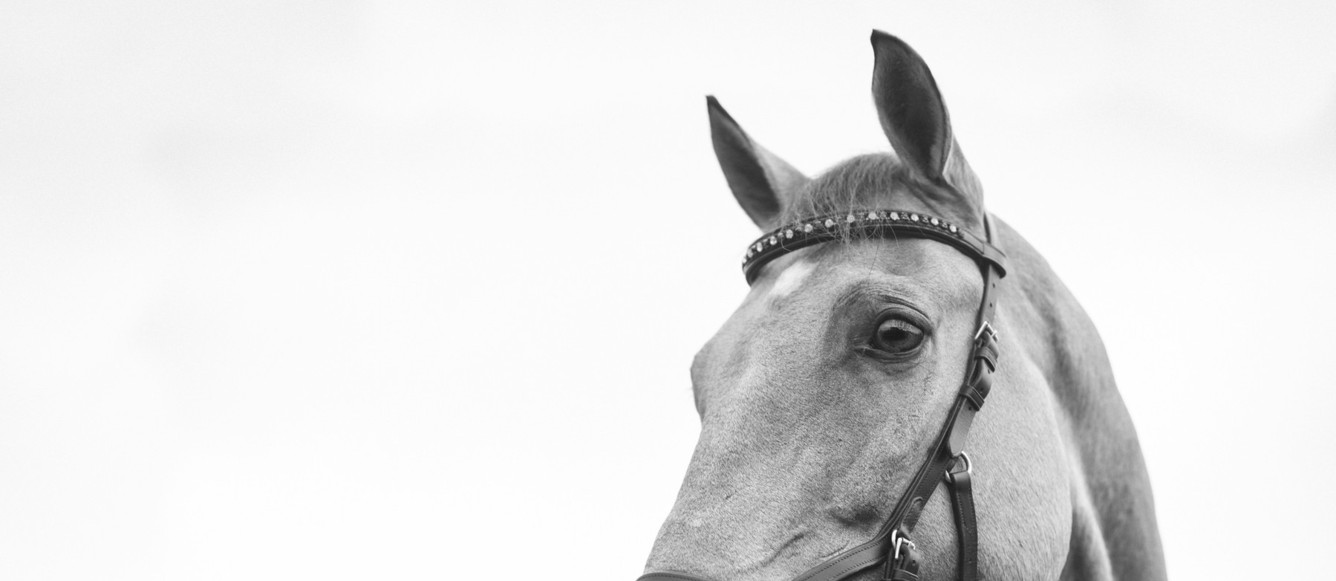 @ Kirsten LaChance - UnSplash LDD