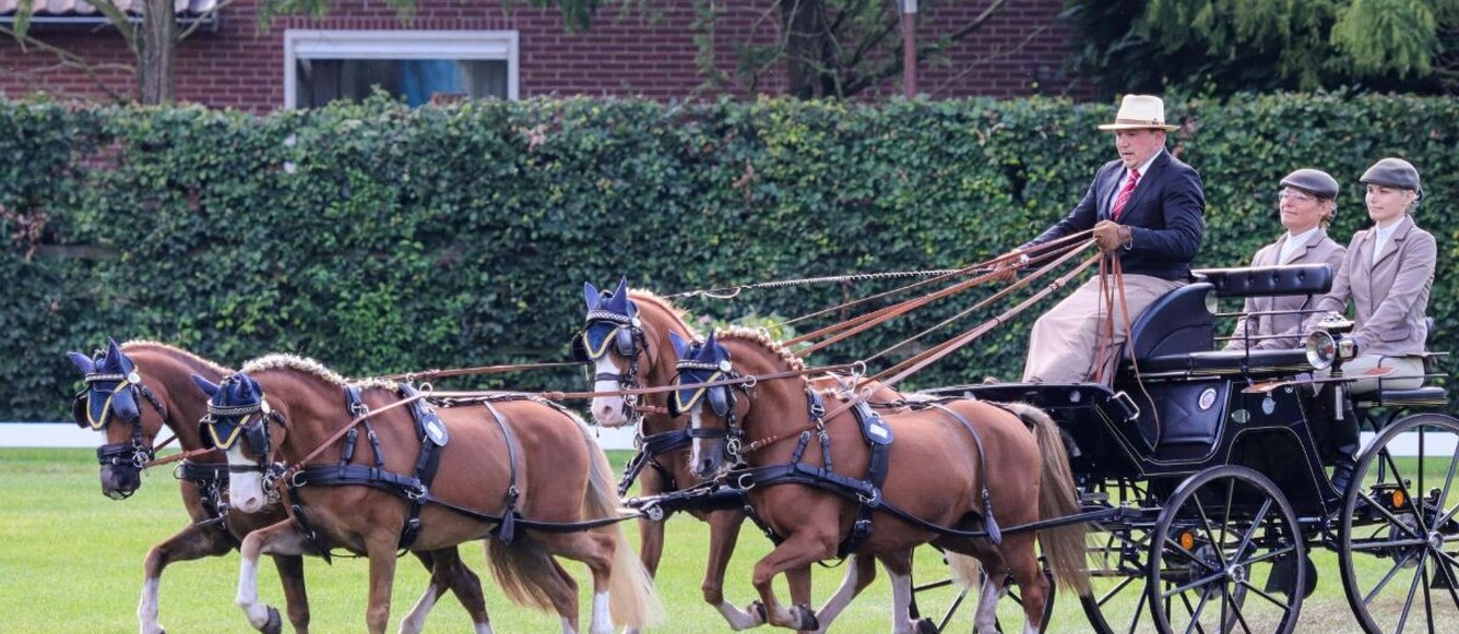 Yannick Scherrer aux Championnats du Monde des meneurs de poneys 2023 à Oirschot (NED) | © Chrisztina Horvath