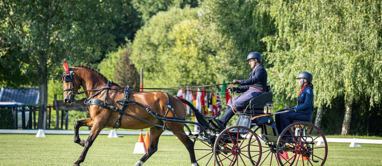 Dans la catégorie des chevaux de 7 ans, la médaille d’argent est revenue à Johnson du Signal CH, mené par Mario Gandolfo. © FEI