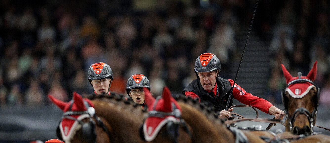 STUTTGART - German Masters 2025VOUTAZ Jerome (SUI), Flower de Gessenay, Hermes de Voroux, Leon, Non Stop du PadocFEI Driving World Cup™ 2025/20246DRIVING GERMAN MASTERInt. four-in-hand driving time obstacle competition with drive-offInt. Zeit-Hindernisfahren für Vierspänner mit zwei UmläufenStuttgart, Hanns-Martin-Schleyer-Halle15. November 2025© www.sportfotos-lafrentz.de/Stefan Lafrentz
