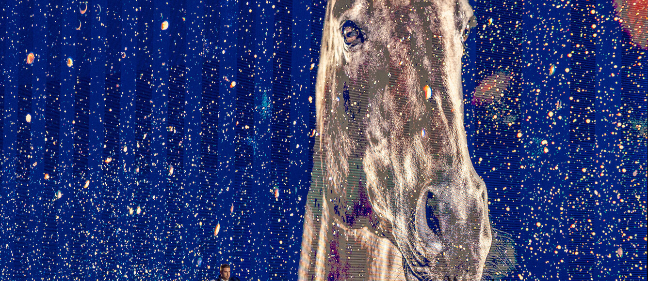 Driver Dries Degrieck BEL, winner at the FEI DRIVING WORLD CUP™ 2024/25 Stockholm (SWE), Strawberry Arena