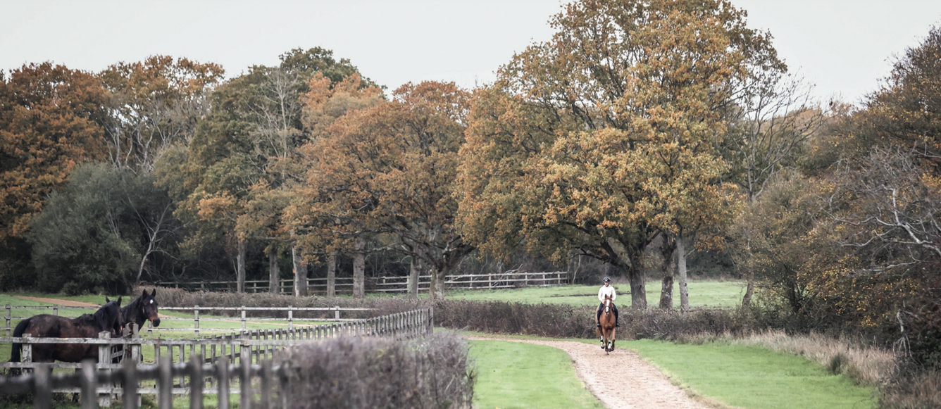 Le no 2 mondial et prétendant au Rolex Grand Slam Scott Brash se promenant en toute sérénité avec Hello Jefferson dans les superbes installations et le cadre verdoyant de son fief du Sussex, à quelques galopades d’Hickstead, 80 km au sud de Londres. L’Écossais a trouvé une base idéale et son piquet de chevaux est exceptionnel. © Anna Faire Photography