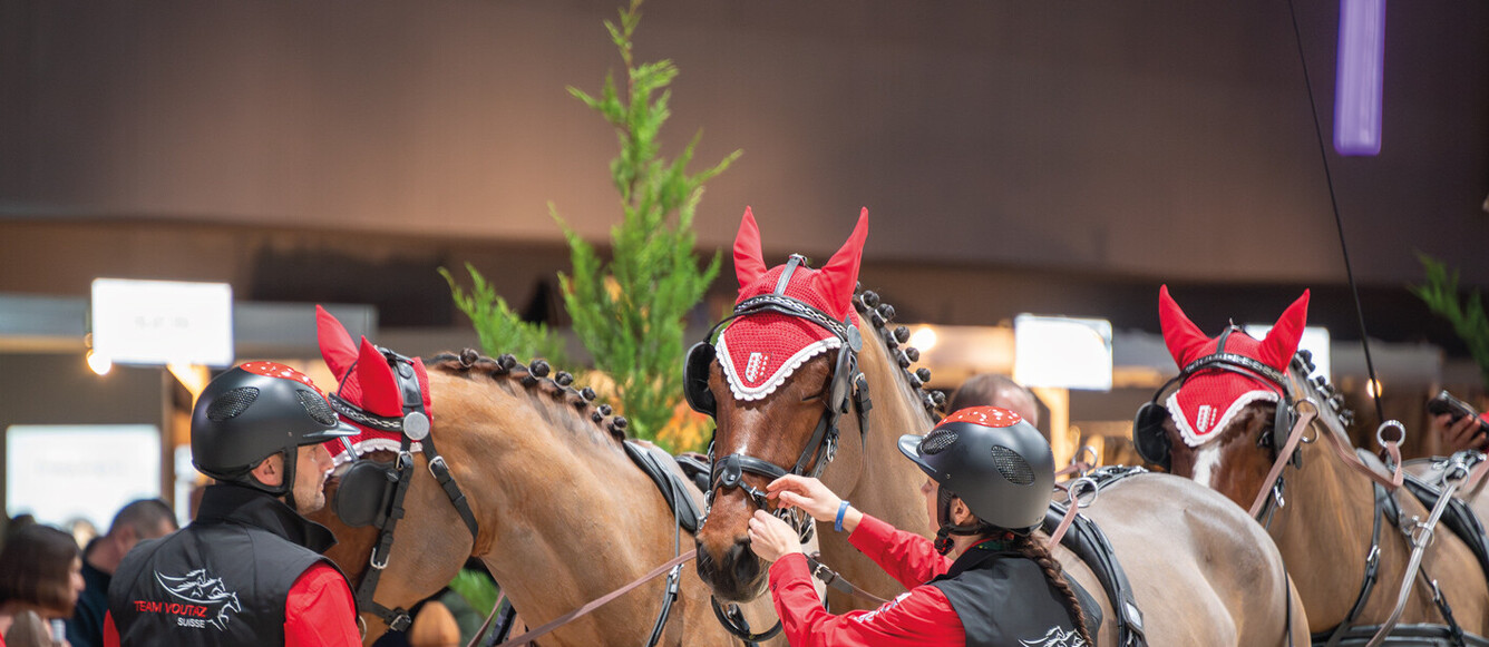L'équipe de grooms de Jérôme Voutaz