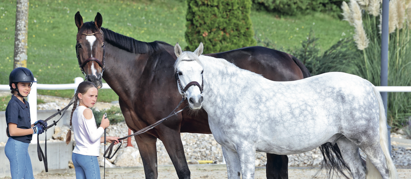 Choisir entre le poney et le cheval, un dilemme de taille pour de nombreuses jeunes cavalières ! © photobujard.com