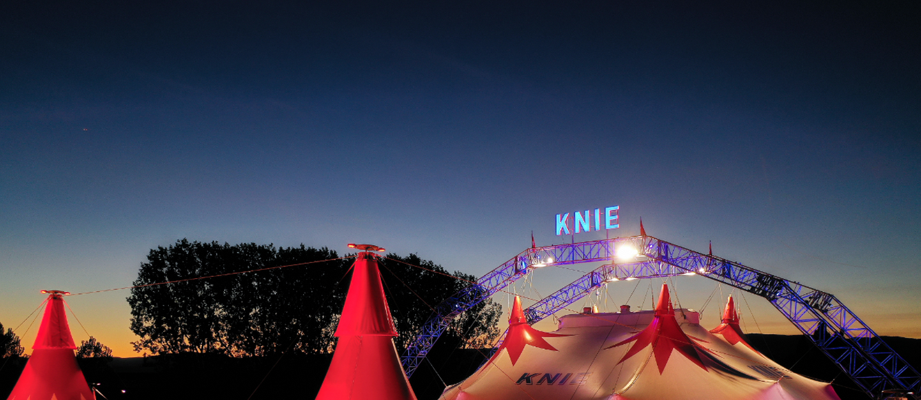 Knie
