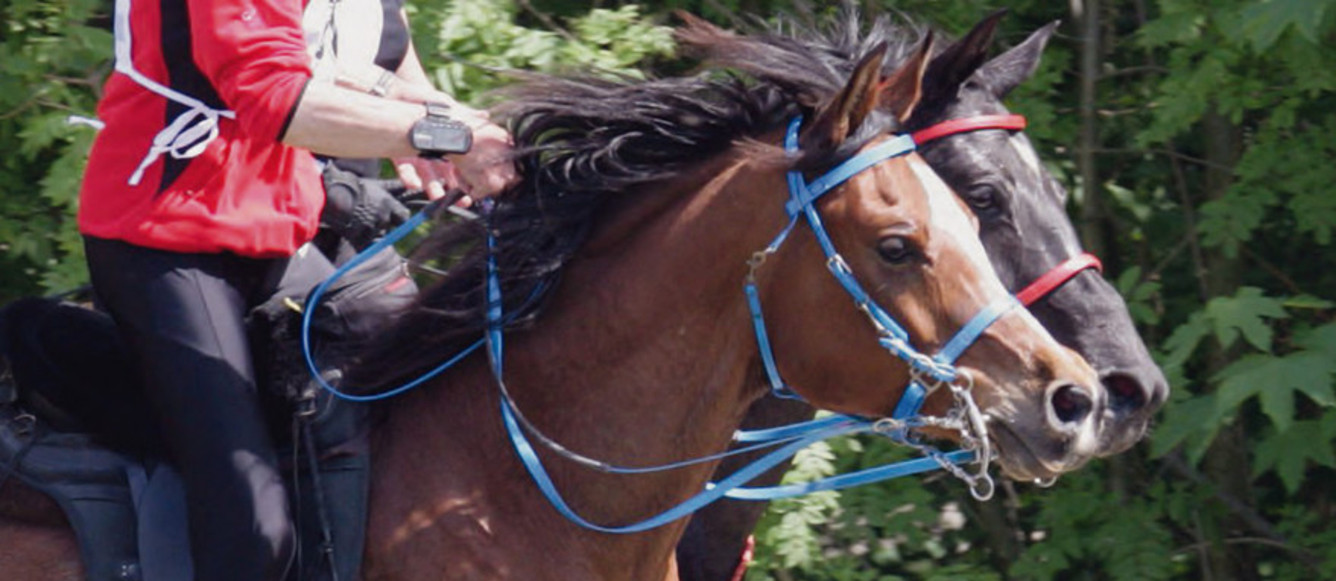 Endurance