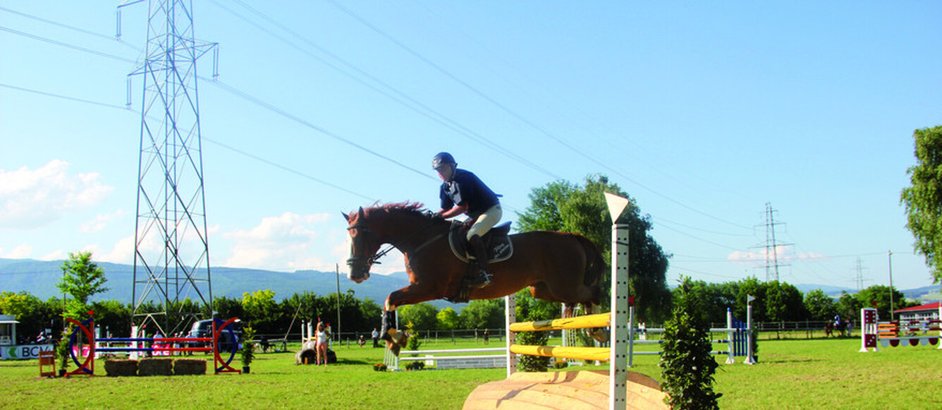 Le beau terrain en herbe de Signy et ses naturels 