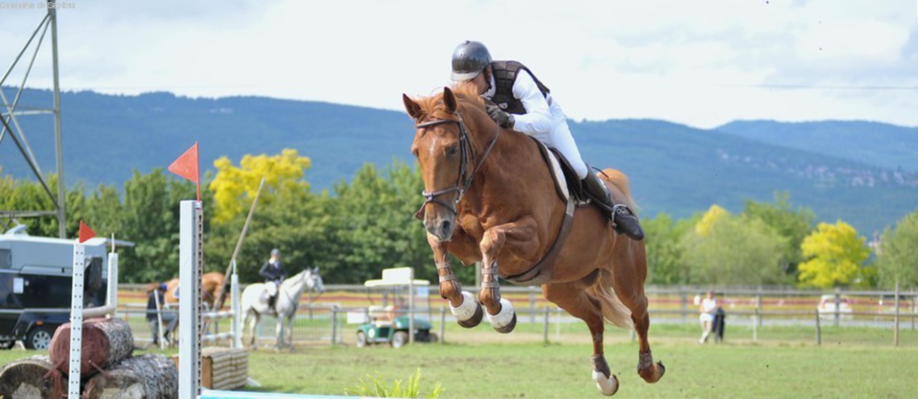 Le beau terrain en herbe de Signy