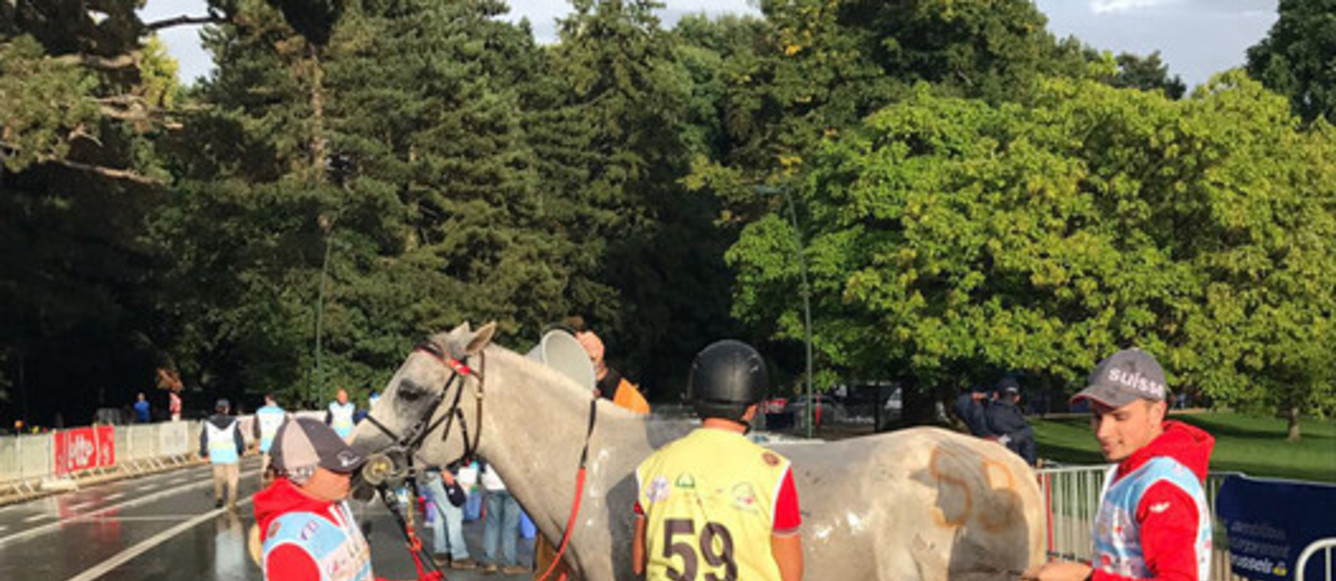 Barbara Lissarrague et Ainhoa Arkiris seront du voyage pour Tryon