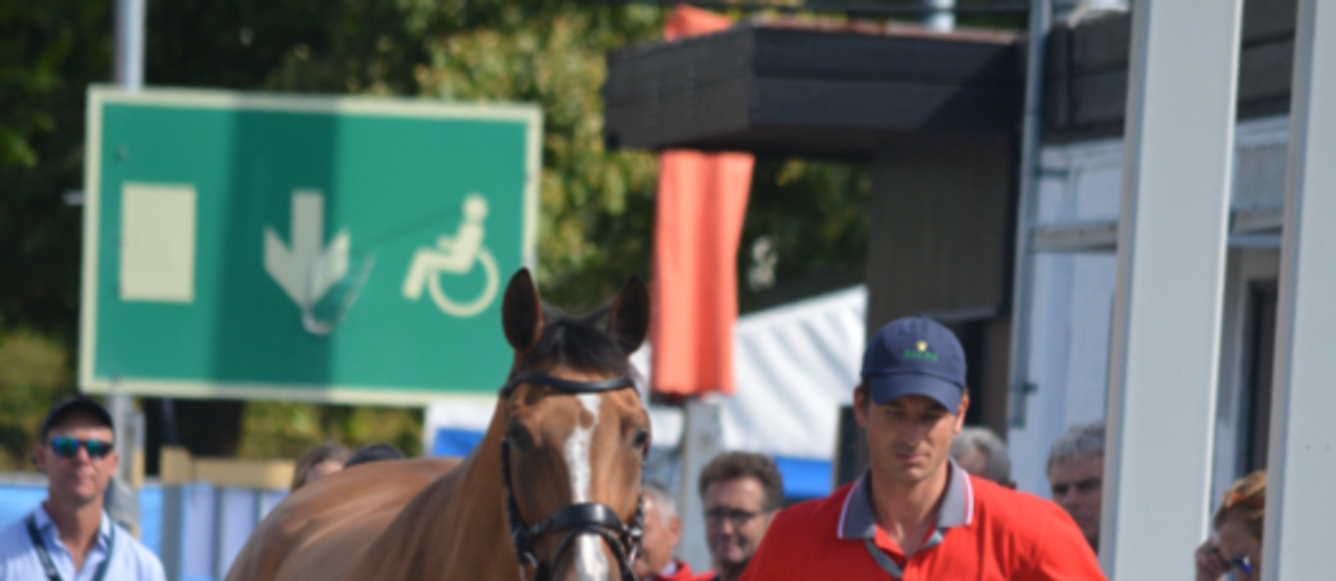 Steve Guerdat,No 1 mondial, 16e mois
