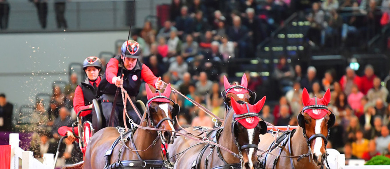 Jérôme Voutaz et ses FM qualifiés pour les Jeux Equestres Mondiaux