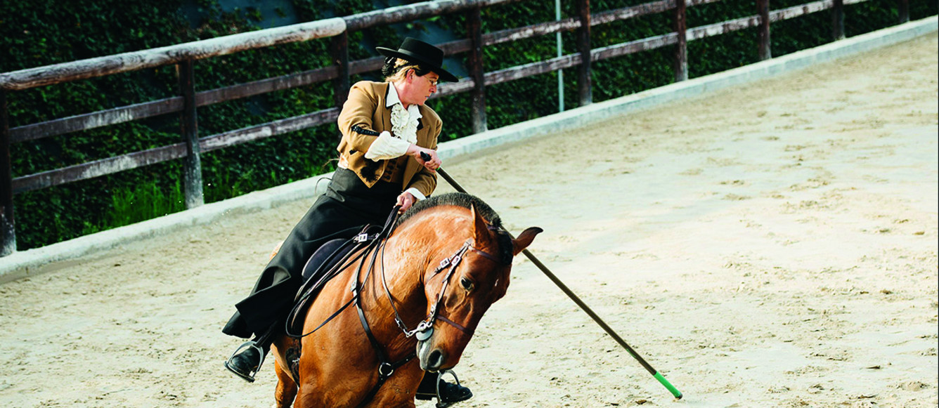 Equitation de travail aux Ecuries du Bison Blanc à Bellevue/GE