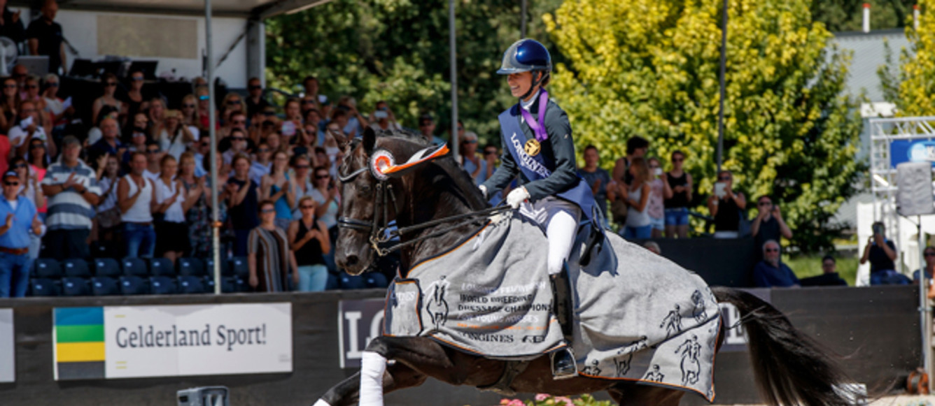 Fry Charlotte, GBR, GlamourdaleWorld ChampionshipsYoung Dressage HorsesErmelo 2018Photo FEI/ Hippo Foto - Dirk Caremans05/08/2018