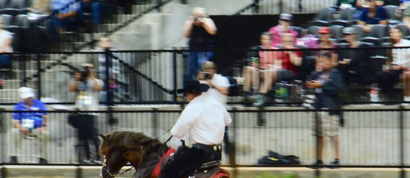 reining,FEI