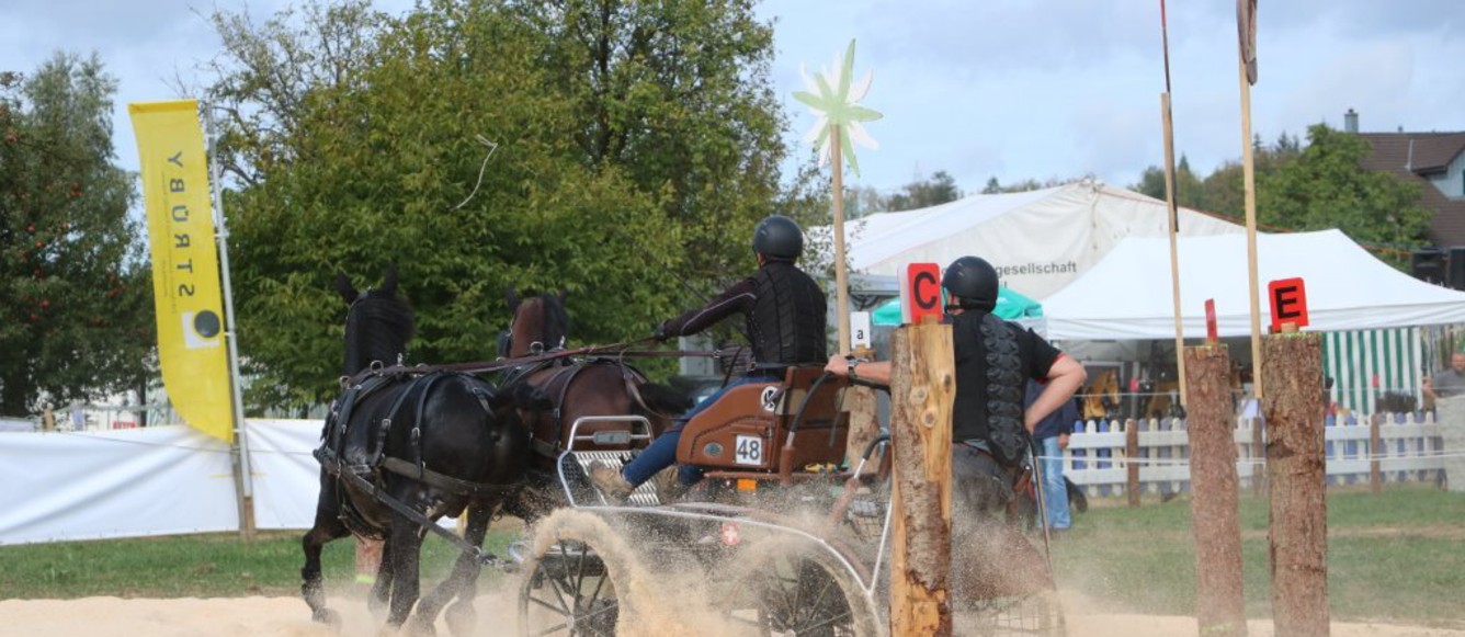 Sandra Chardonnens en argent lors des championnats de Suisse d'attelage