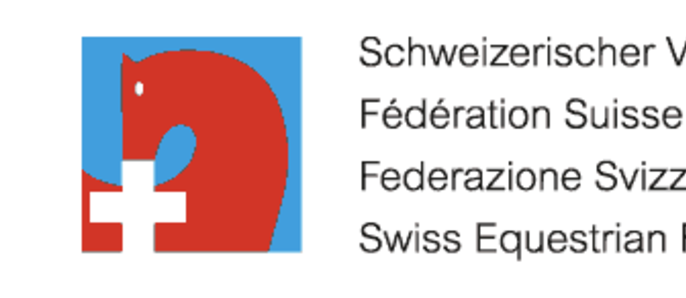 LOGO FSSE