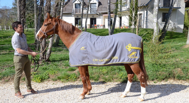 Visite sur les sites de Béligneux Le Haras : le sport a évolué très vite, l'élevage aussi