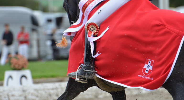 L'élevage à l'honneur à Avenches