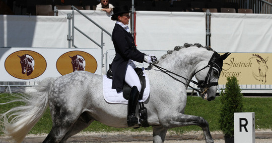 Championnats suisses de dressage au «Schänzli»