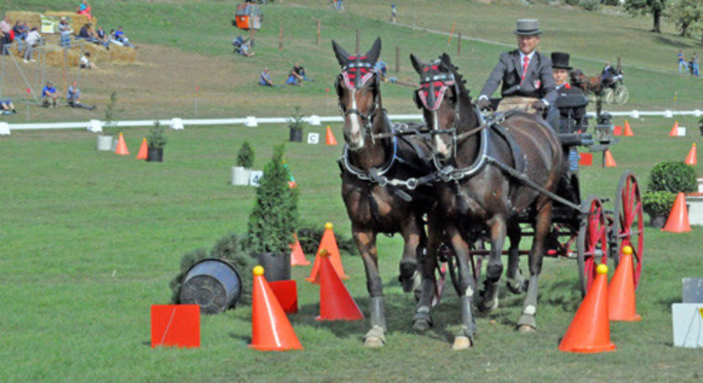 Championnats de Suisse d’attelage à Coinsins : une belle participation et des médaillés mondiaux