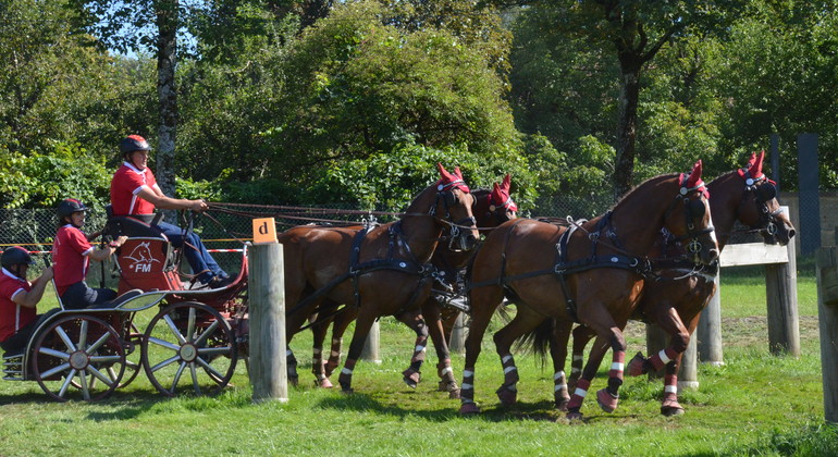 Championnats de Suisse d'attelage: Voutaz et Gandolfo titrés !