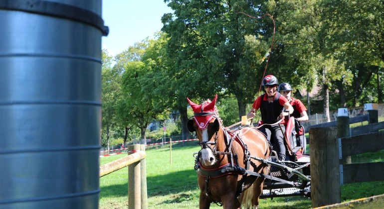 Mondiaux des jeunes chevaux : deux médailles pour Mario Gandolfo