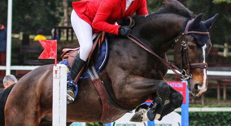 La Vente Château Bacon online les 12 et 13 décembre. Avec des chevaux de Nicolas Tayol et de Boisy