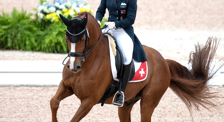 Dressage à Equissima: un commentaire d'expert diffusé sur votre smartphone