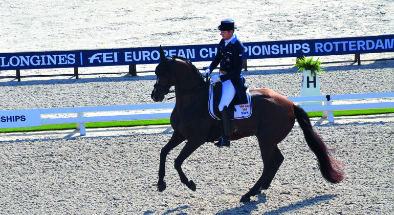 Compiègne : Well Done de la Roche CH imbattable
