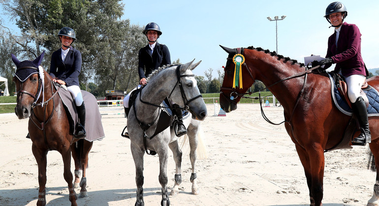 Commerces de chevaux