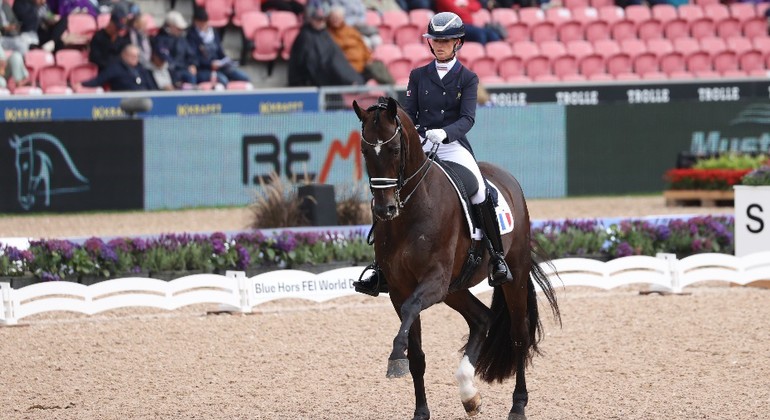Les meilleurs cavaliers de dressage à Jiva Hill