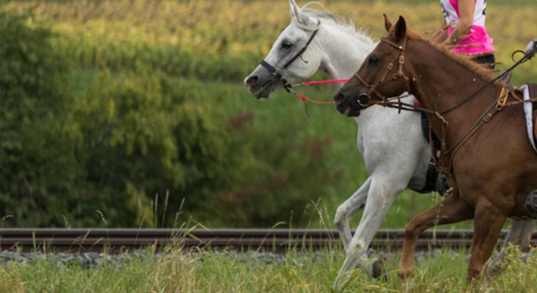 Les cadres d'endurance 2023 sont formés