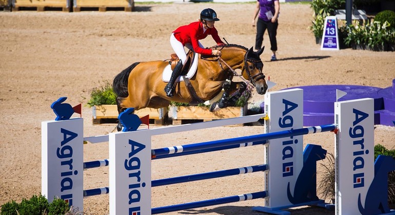 Jana Wargers : « Limbridge, le cheval de ma vie, n’est pas à vendre »