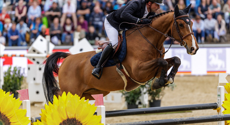 Des résultats en saut et en dressage