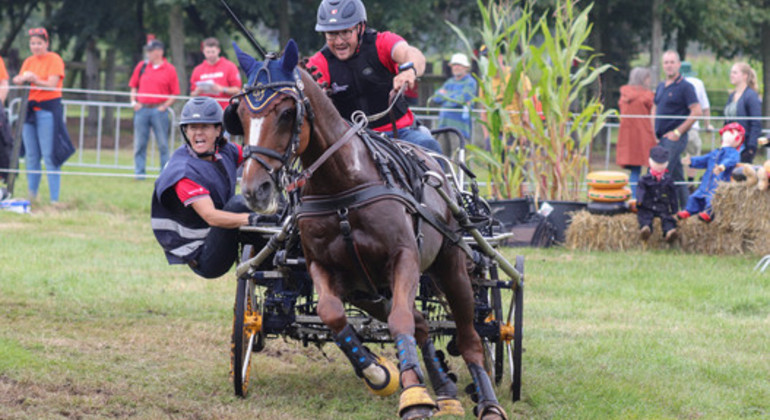 Trois médailles pour les meneurs suisses aux Mondiaux poneys