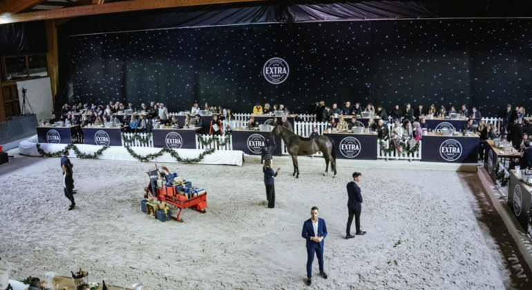 3e édition de la vente aux enchères Extra Horses