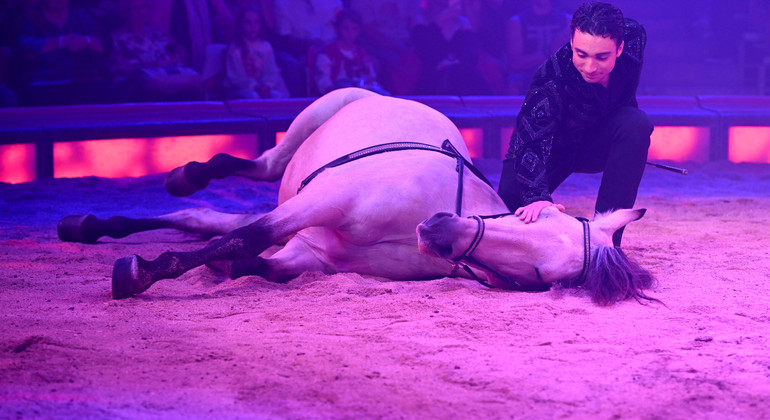 C'est parti pour la tournée romande du Cirque Knie !