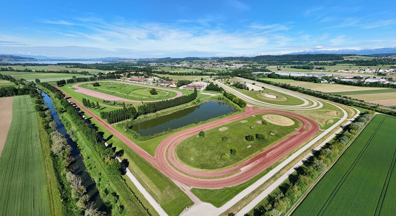 La finale de la série EEF à Avenches : une célébration du saut d'obstacles européen