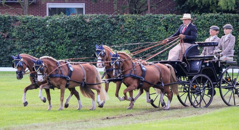Sélection pour les Mondiaux poneys