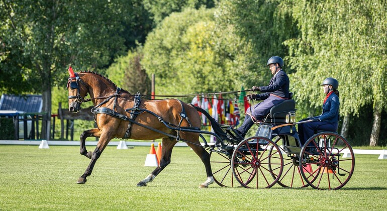Deux médailles suisses aux championnats du monde des jeunes chevaux
