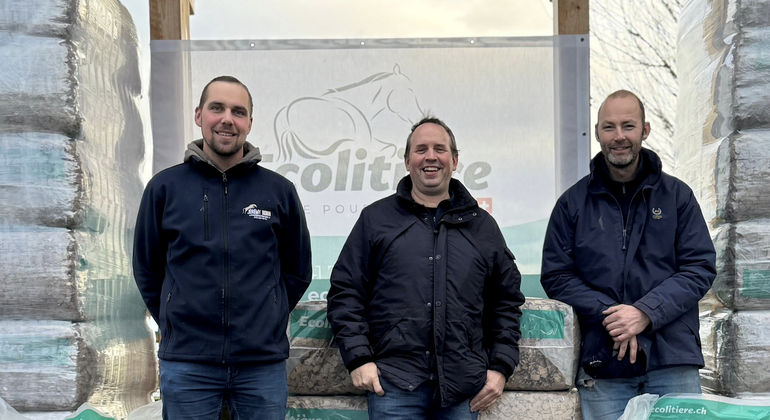 Ecolitière cherche désespérément du carton à recycler