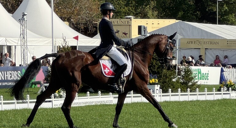 Européens de complet à Blenheim : Michael Jung en tête, Felix Vogg 11e et la Suisse 4e !
