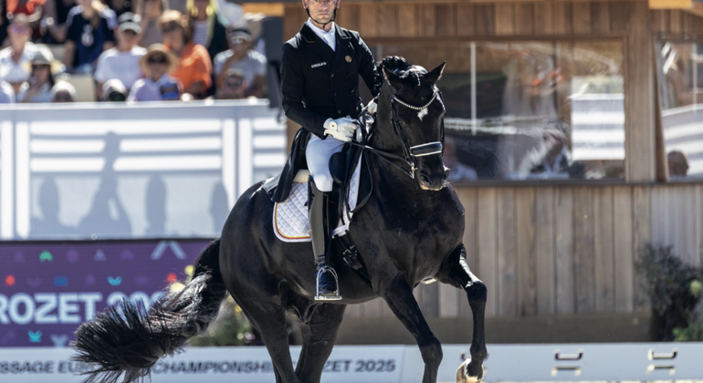 Julien Verboomen : miser sur le bon cheval