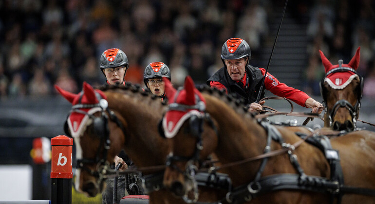 Bordeaux, théâtre de la finale d’attelage et de la Coupe du monde de saut