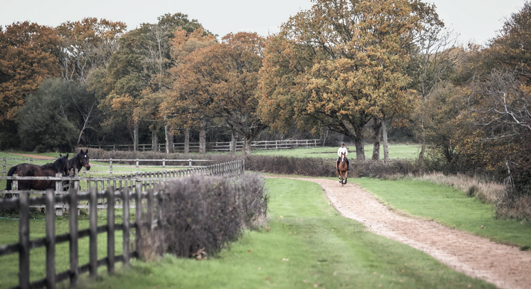 Le carré royal de Scott Brash